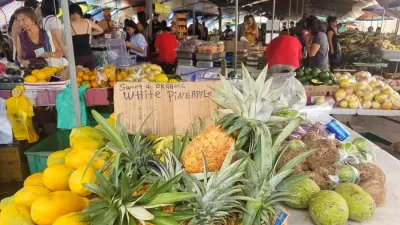 [안내] 하와이에서 살아보기! 우리의 소소한 일상을 소개하는 게시판입니다.