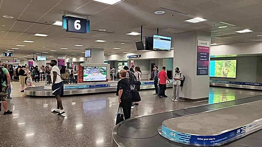 호놀룰루 공항 1층 수화물 호놀룰루 공항 1층 수화물