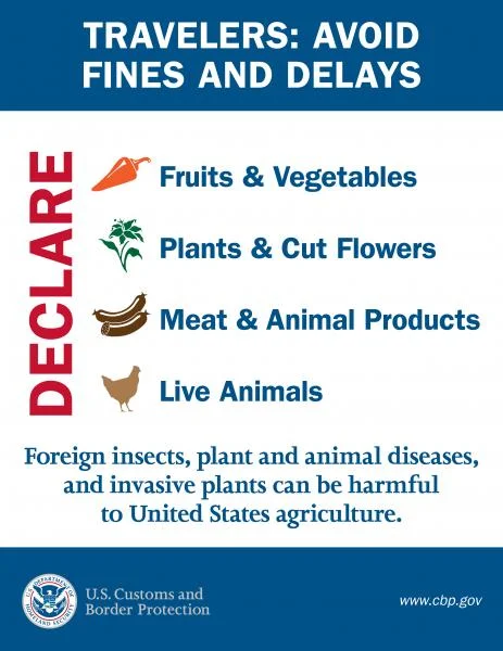 미국 반입 금지 품목 미국 반입 금지 품목